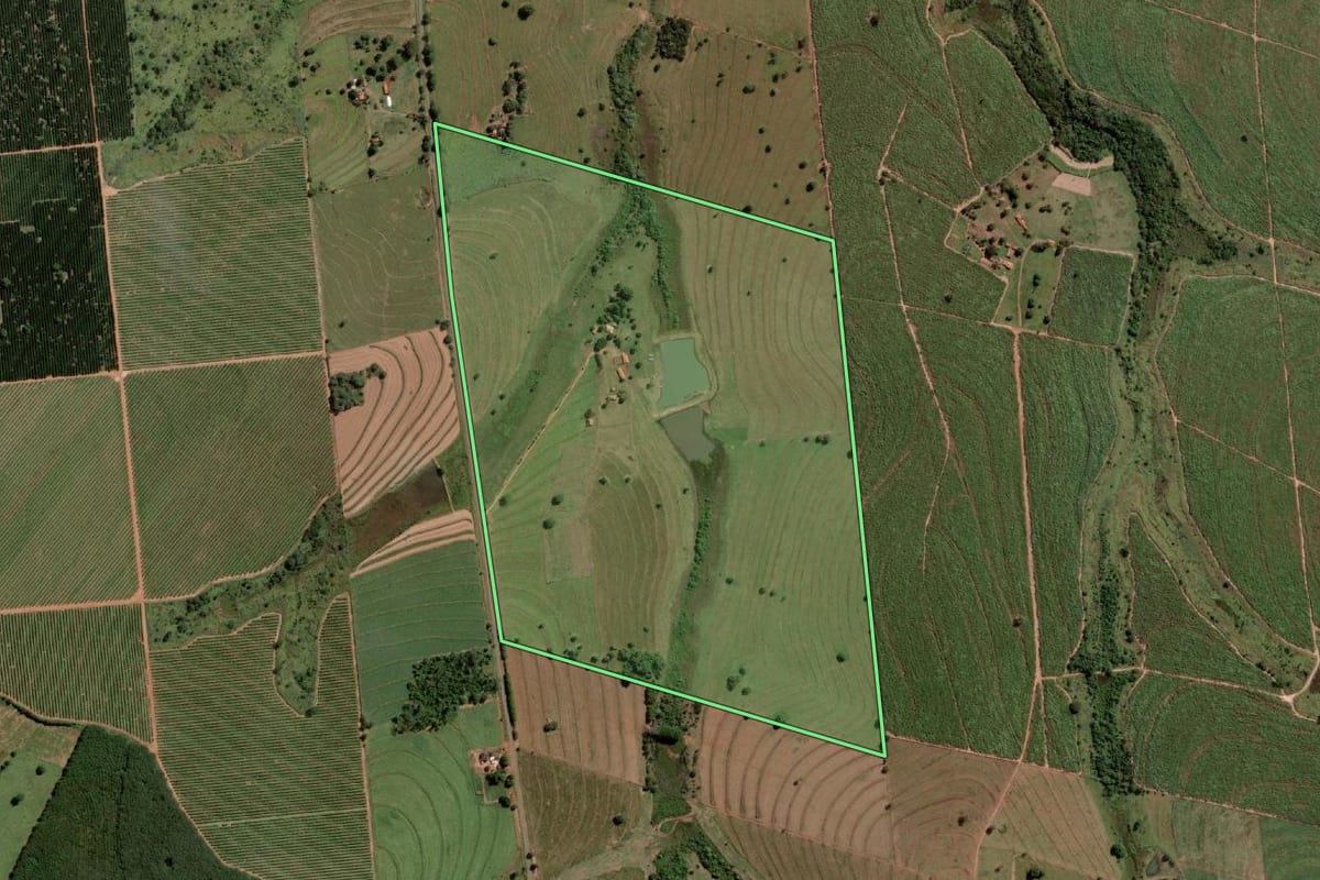 Imagem de satélite do imóvel rural em Guzolândia (SP), com o contorno declarado no CAR desenhado por cima.