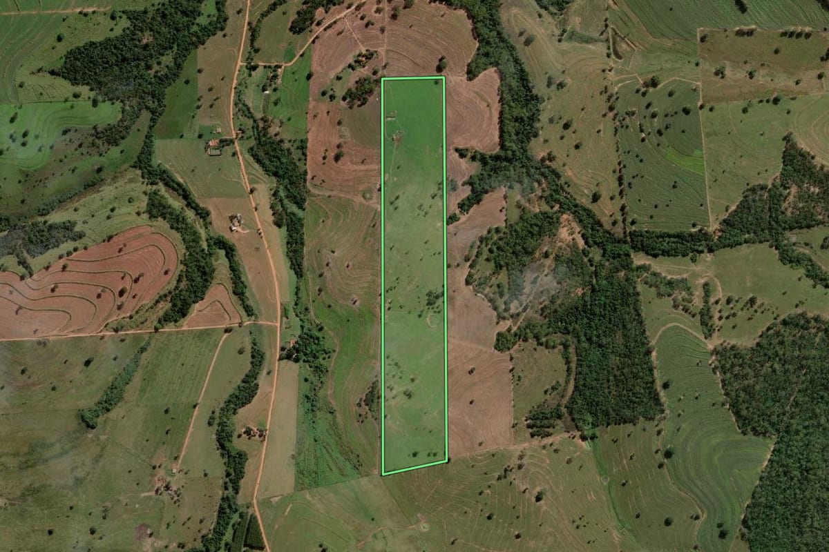 Imagem de satélite do imóvel rural em Guzolândia (SP), com o contorno declarado no CAR desenhado por cima.