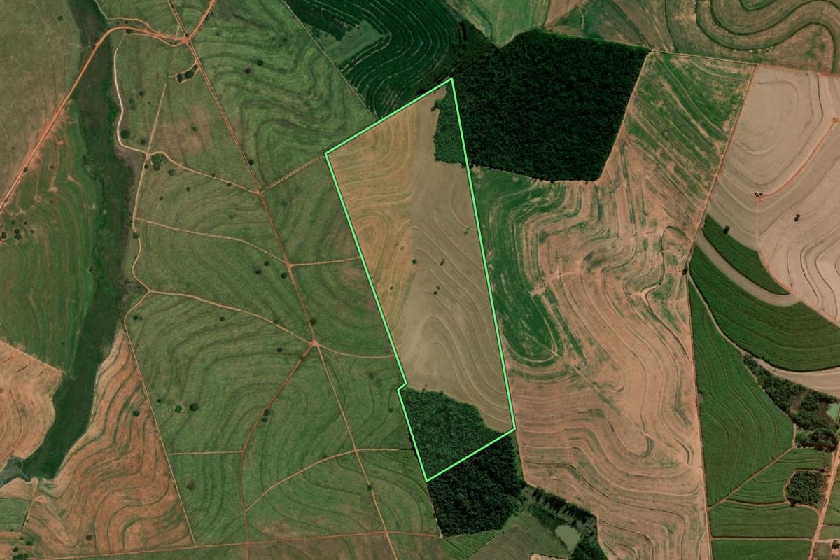 Imagem de satélite do imóvel rural em Herculândia (SP), com o contorno declarado no CAR desenhado por cima.