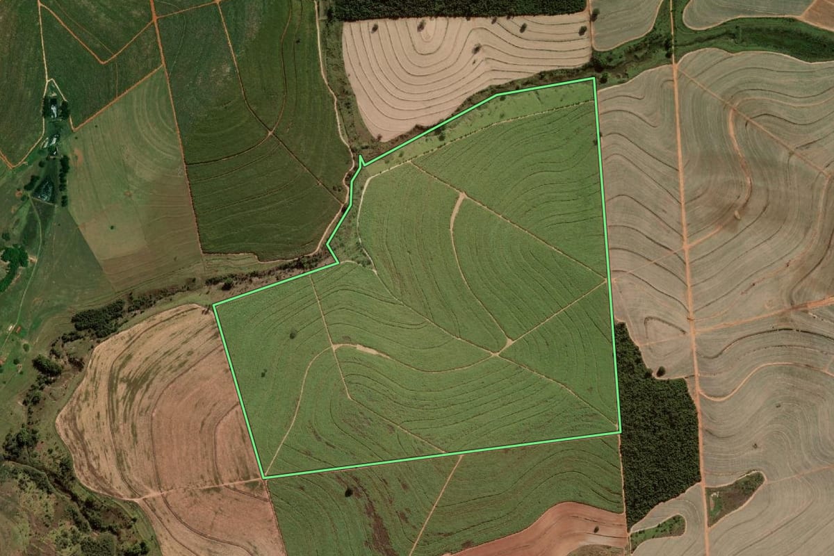 Imagem de satélite do imóvel rural em Herculândia (SP), com o contorno declarado no CAR desenhado por cima.