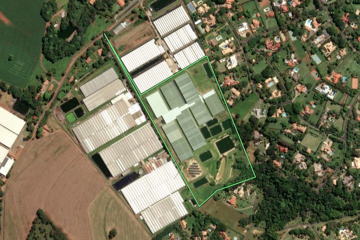 Imagem de satélite do imóvel rural em Holambra (SP), com o contorno declarado no CAR desenhado por cima.