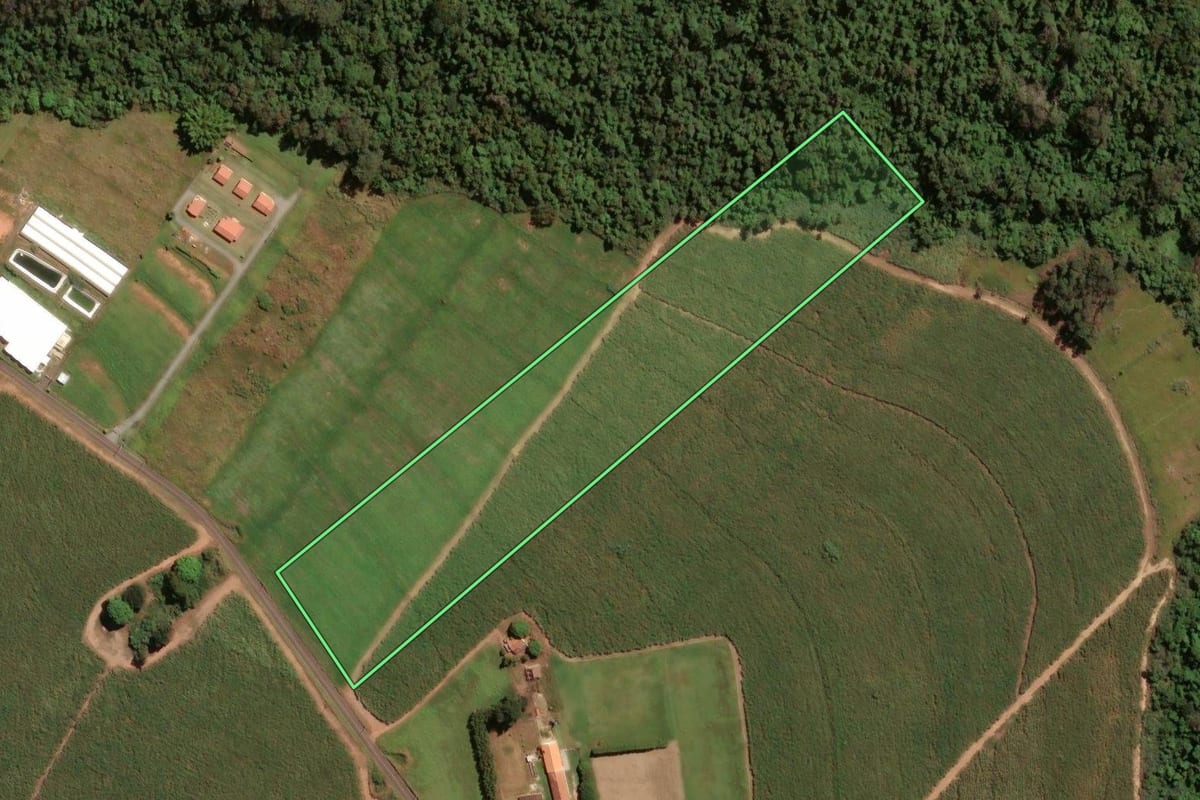 Imagem de satélite do imóvel rural em Holambra (SP), com o contorno declarado no CAR desenhado por cima.
