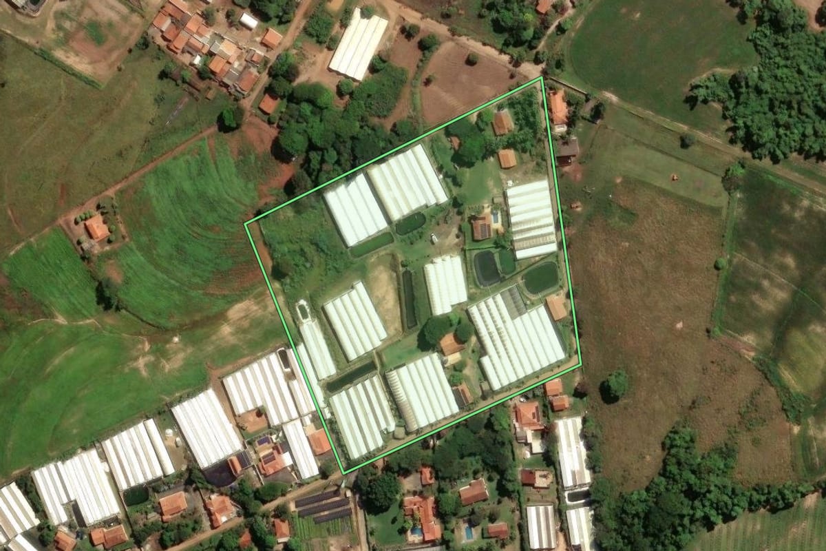 Imagem de satélite do imóvel rural em Holambra (SP), com o contorno declarado no CAR desenhado por cima.