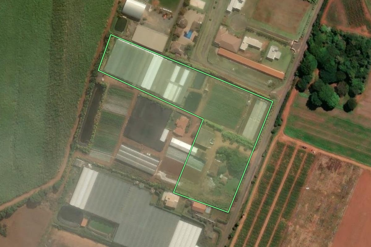 Imagem de satélite do imóvel rural em Holambra (SP), com o contorno declarado no CAR desenhado por cima.