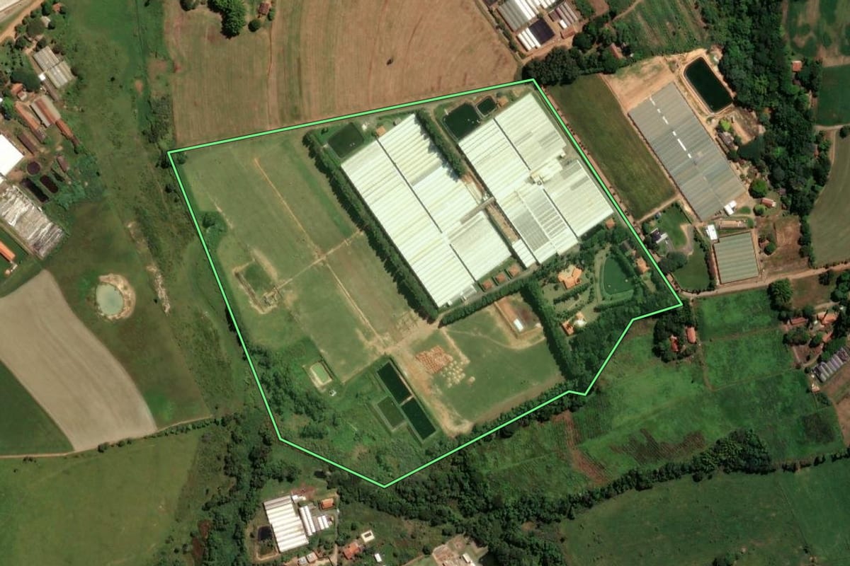 Imagem de satélite do imóvel rural em Holambra (SP), com o contorno declarado no CAR desenhado por cima.
