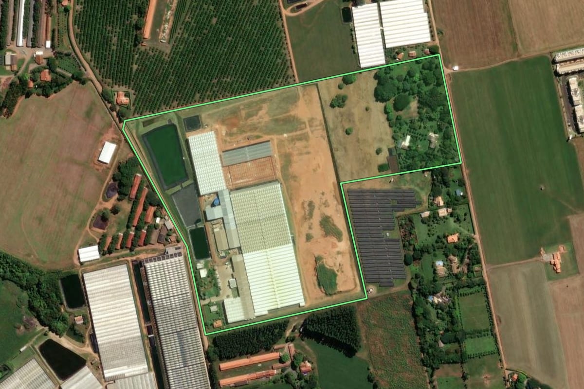 Imagem de satélite do imóvel rural em Holambra (SP), com o contorno declarado no CAR desenhado por cima.