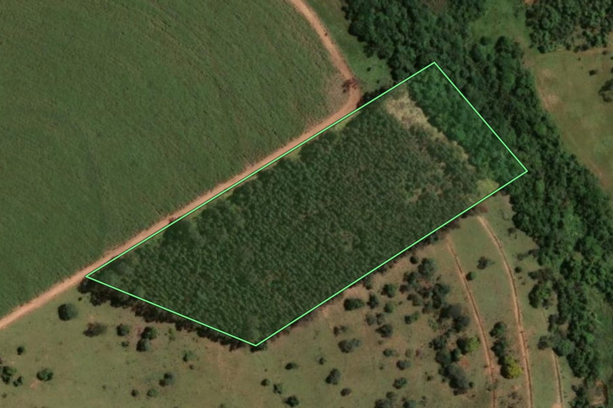 Imagem de satélite do imóvel rural em Iacanga (SP), com o contorno declarado no CAR desenhado por cima.