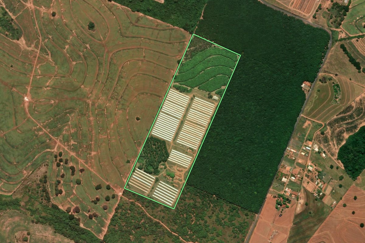 Imagem de satélite do imóvel rural em Iacri (SP), com o contorno declarado no CAR desenhado por cima.