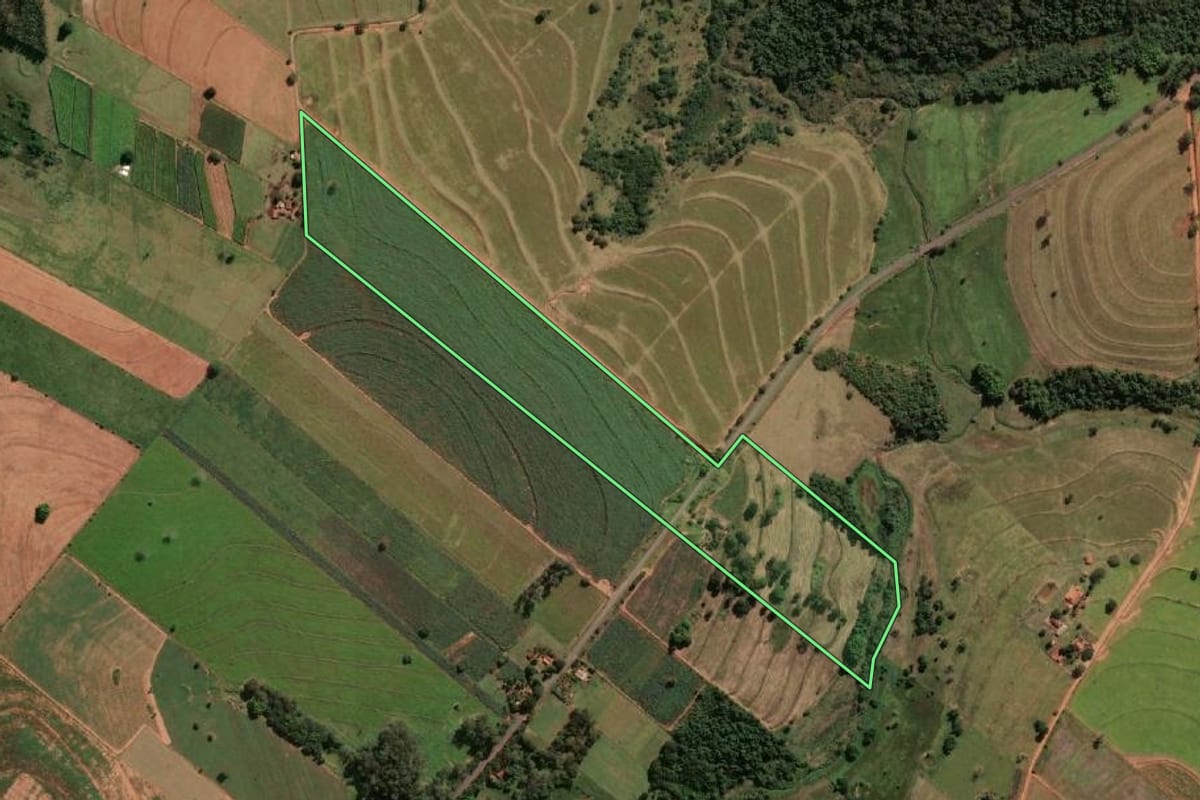 Imagem de satélite do imóvel rural em Iacri (SP), com o contorno declarado no CAR desenhado por cima.