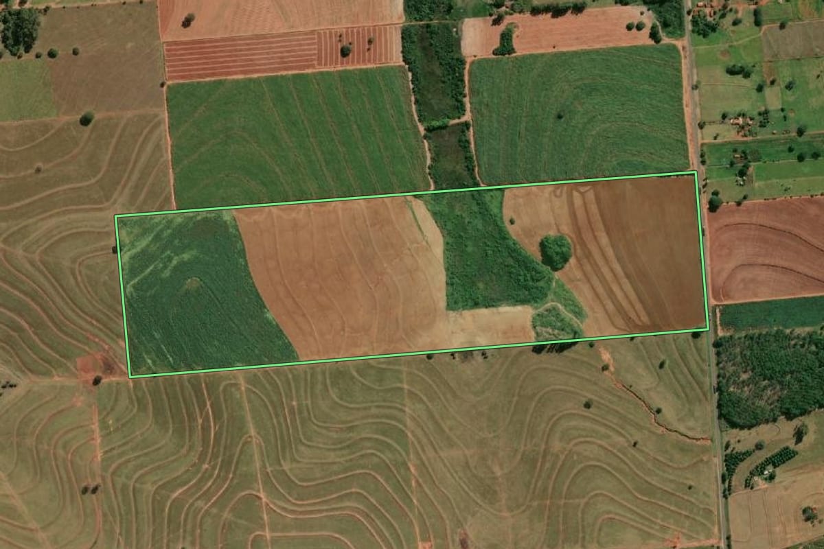 Imagem de satélite do imóvel rural em Iacri (SP), com o contorno declarado no CAR desenhado por cima.