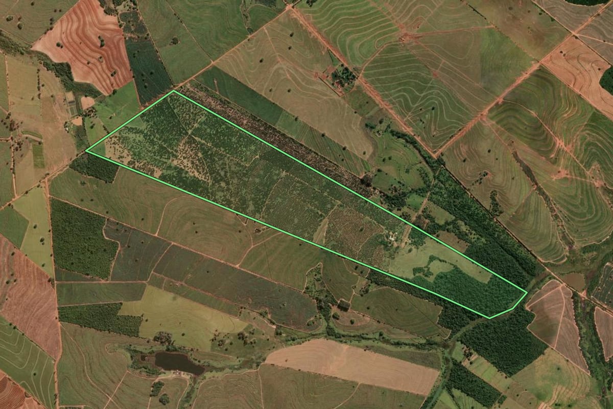 Imagem de satélite do imóvel rural em Iacri (SP), com o contorno declarado no CAR desenhado por cima.