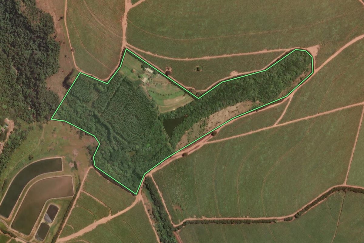 Imagem de satélite do imóvel rural em Ibaté (SP), com o contorno declarado no CAR desenhado por cima.