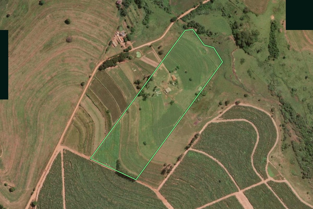 Imagem de satélite do imóvel rural em Ibirá (SP), com o contorno declarado no CAR desenhado por cima.