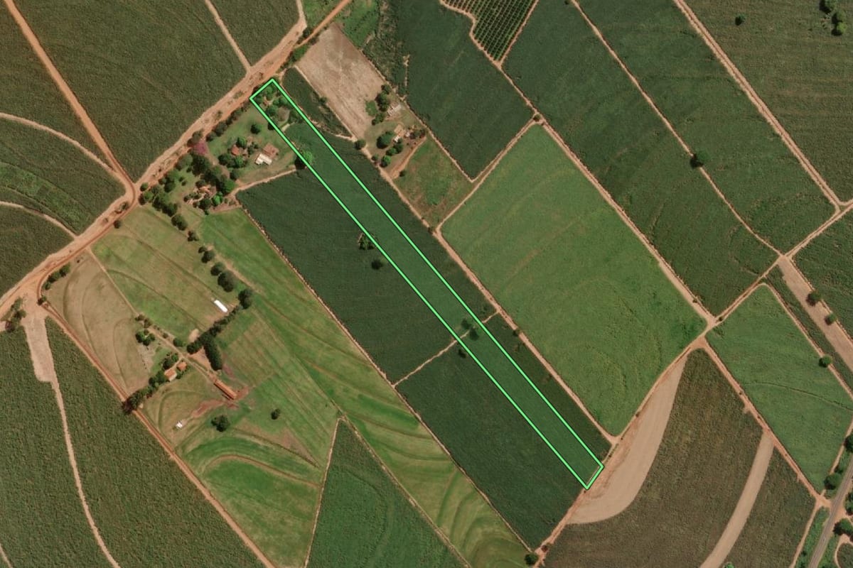 Imagem de satélite do imóvel rural em Ibirá (SP), com o contorno declarado no CAR desenhado por cima.