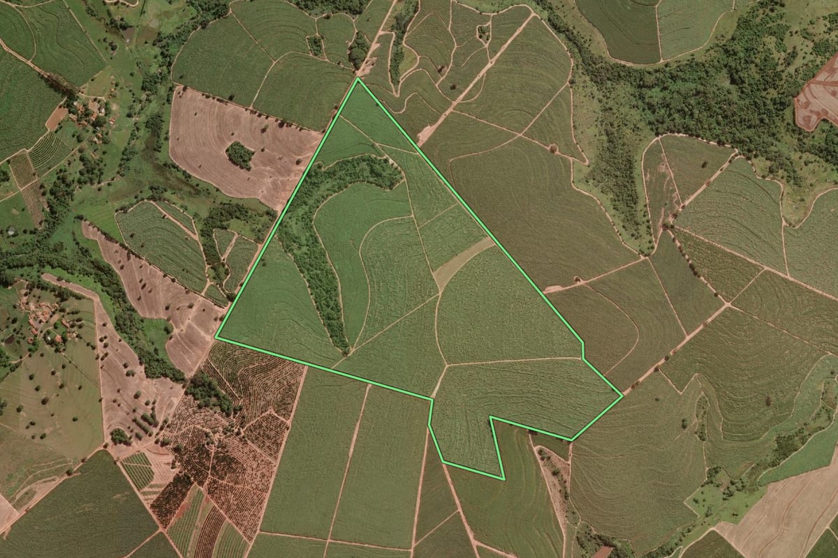 Imagem de satélite do imóvel rural em Ibirá (SP), com o contorno declarado no CAR desenhado por cima.