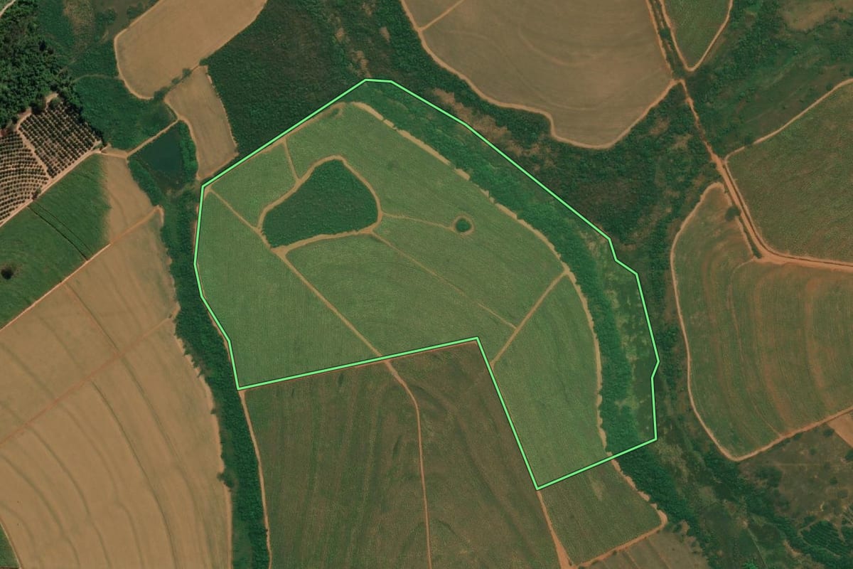 Imagem de satélite do imóvel rural em Elisiário (SP), com o contorno declarado no CAR desenhado por cima.