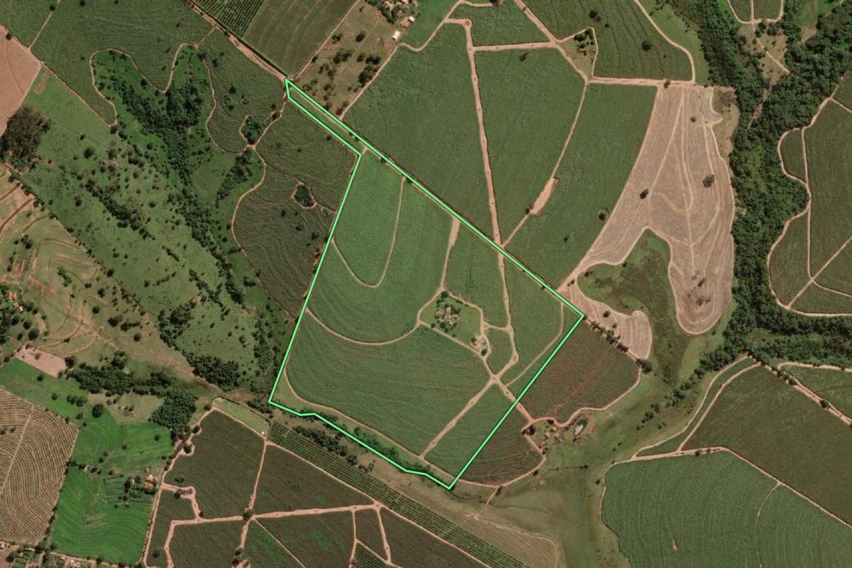 Imagem de satélite do imóvel rural em Ibirá (SP), com o contorno declarado no CAR desenhado por cima.
