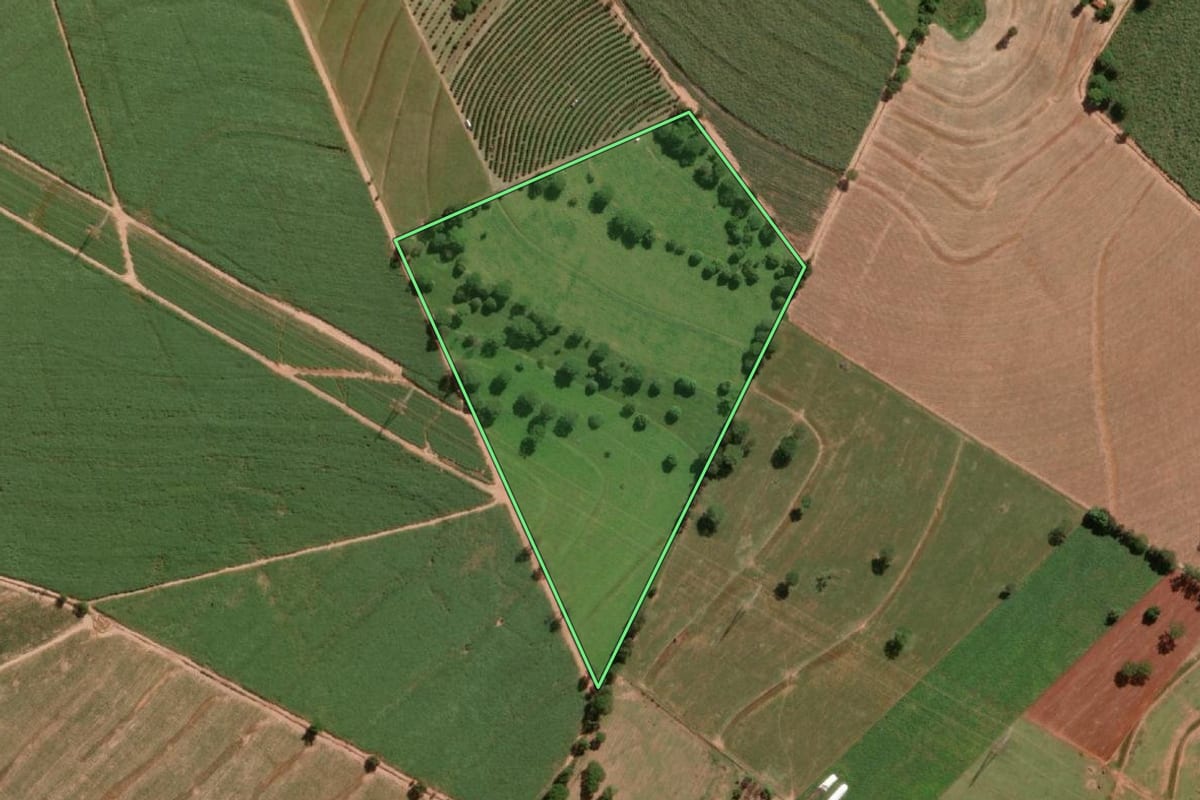 Imagem de satélite do imóvel rural em Ibirá (SP), com o contorno declarado no CAR desenhado por cima.