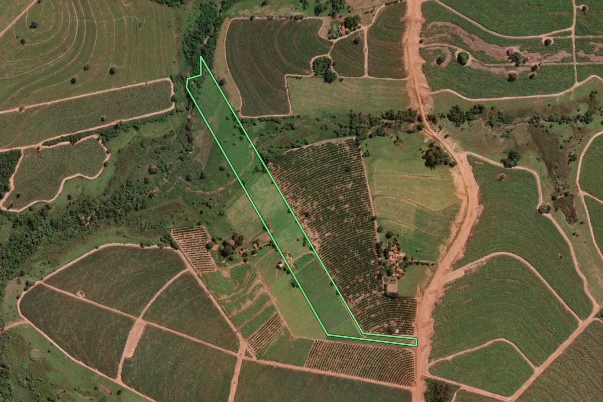 Imagem de satélite do imóvel rural em Ibirá (SP), com o contorno declarado no CAR desenhado por cima.