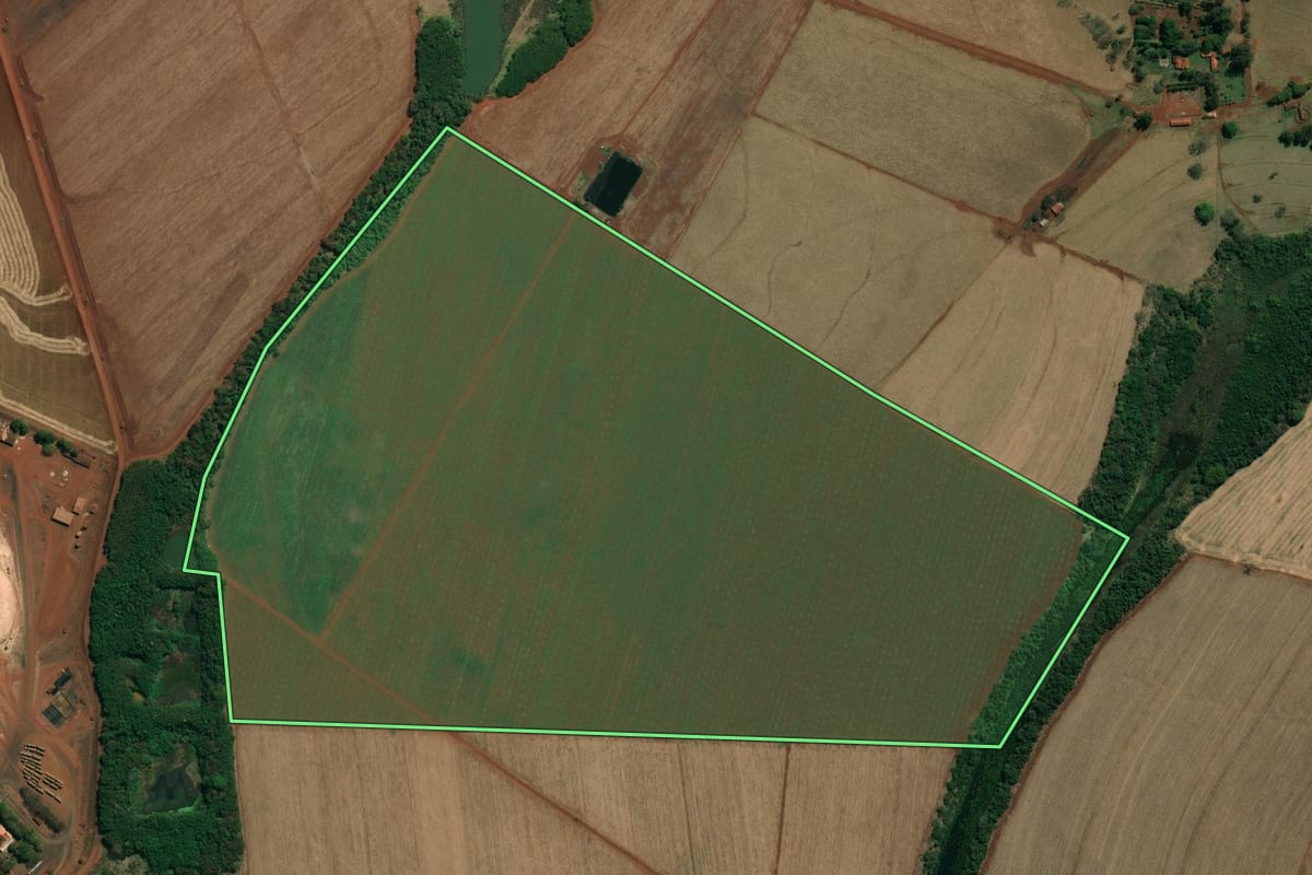 Imagem de satélite do imóvel rural em Ibirarema (SP), com o contorno declarado no CAR desenhado por cima.