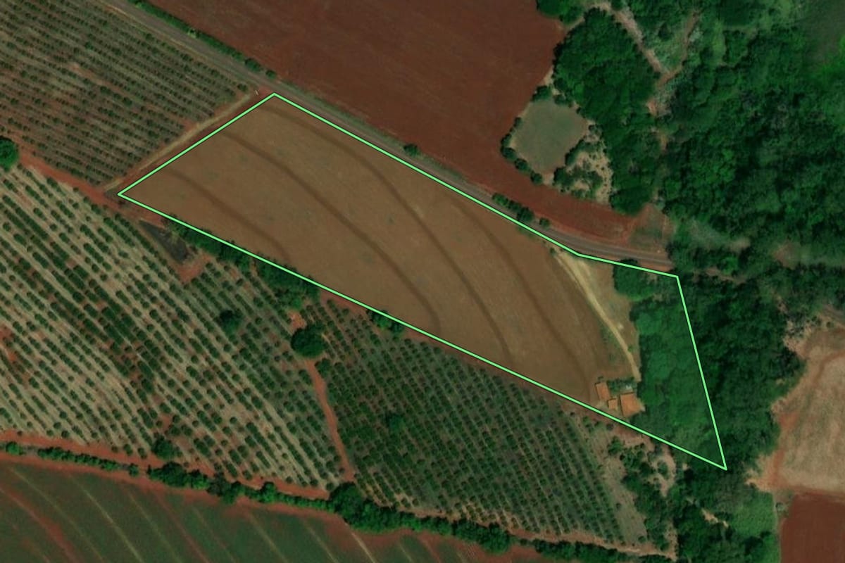 Imagem de satélite do imóvel rural em Ibitinga (SP), com o contorno declarado no CAR desenhado por cima.