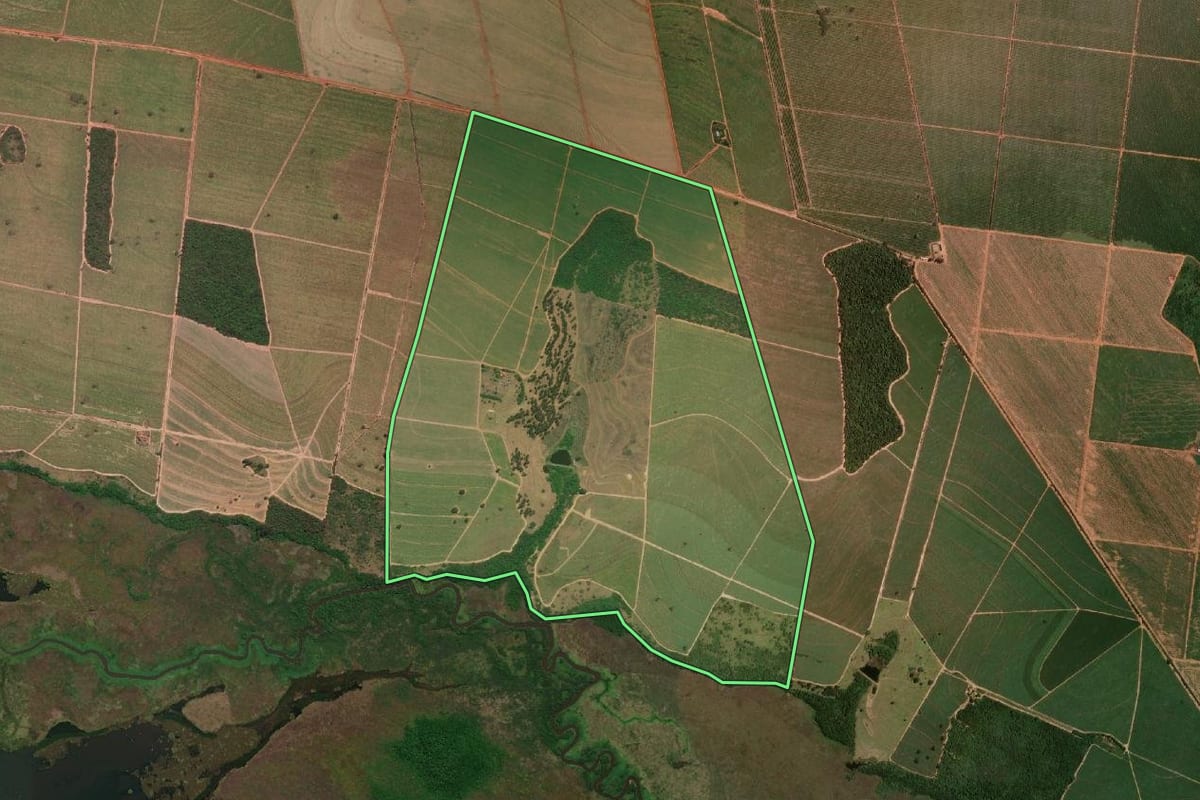 Imagem de satélite do imóvel rural em Ibitinga (SP), com o contorno declarado no CAR desenhado por cima.