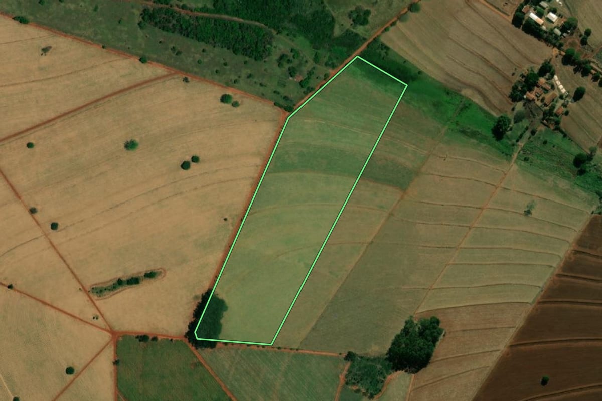 Imagem de satélite do imóvel rural em Ibitinga (SP), com o contorno declarado no CAR desenhado por cima.