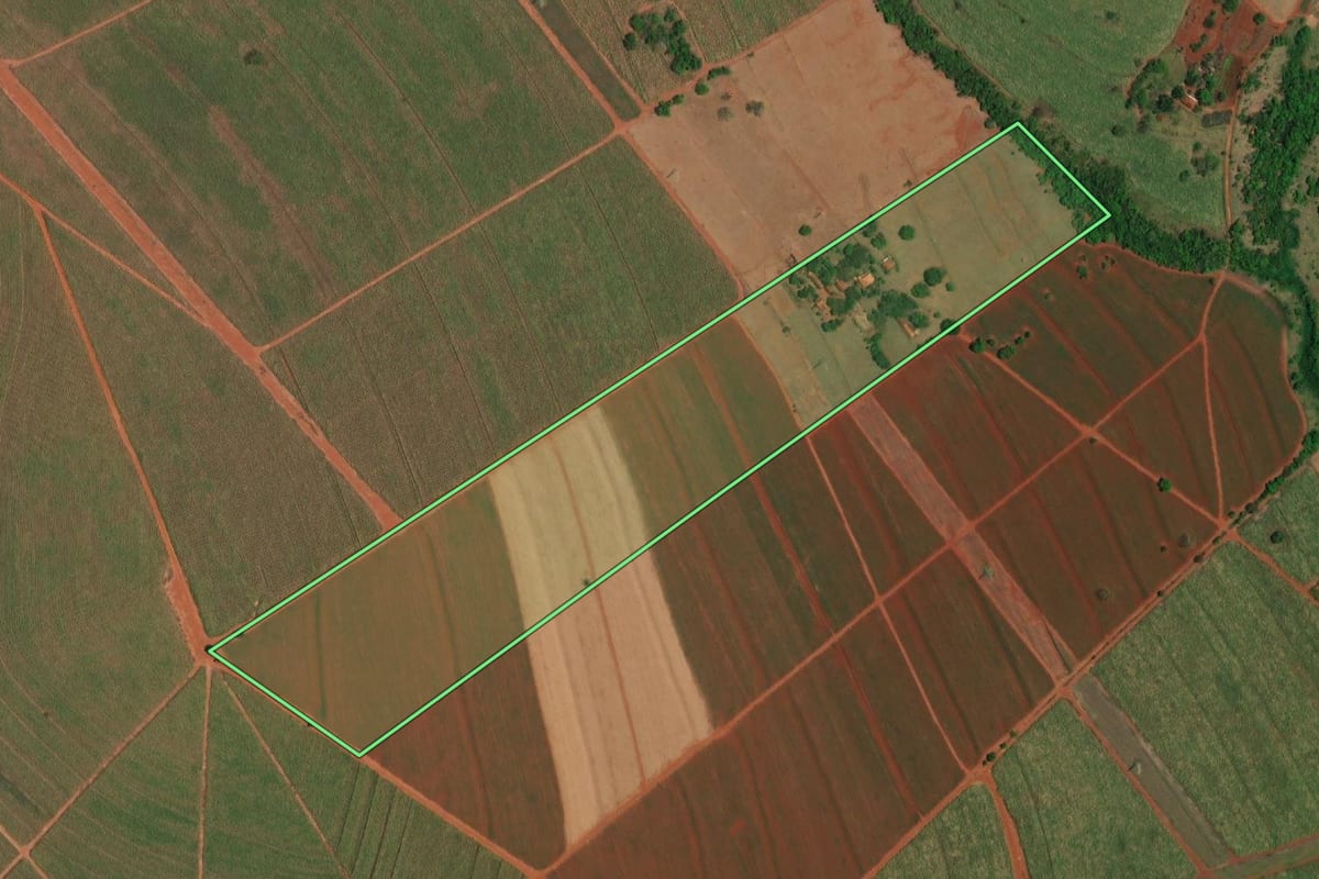 Imagem de satélite do imóvel rural em Ibitinga (SP), com o contorno declarado no CAR desenhado por cima.