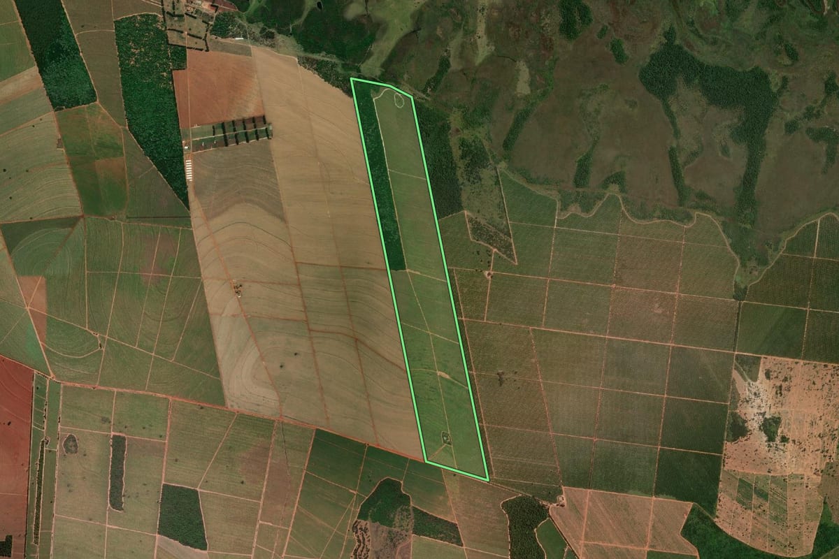 Imagem de satélite do imóvel rural em Ibitinga (SP), com o contorno declarado no CAR desenhado por cima.