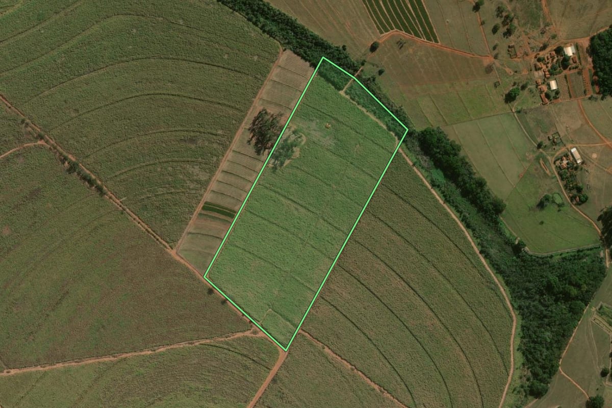 Imagem de satélite do imóvel rural em Ibitinga (SP), com o contorno declarado no CAR desenhado por cima.