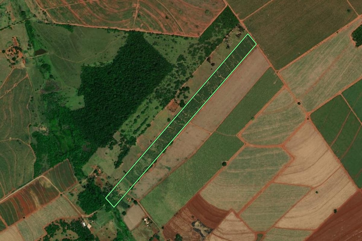 Imagem de satélite do imóvel rural em Ibitinga (SP), com o contorno declarado no CAR desenhado por cima.