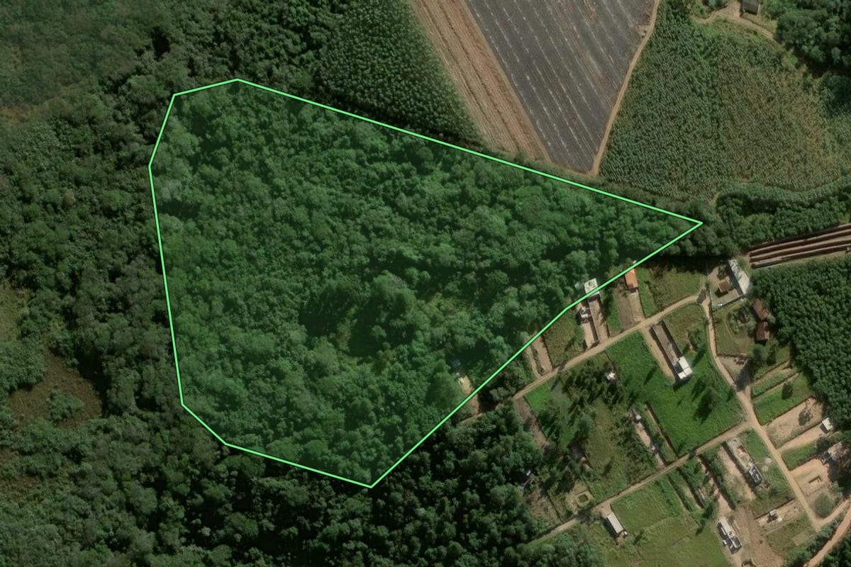 Imagem de satélite do imóvel rural em Ibiúna (SP), com o contorno declarado no CAR desenhado por cima.