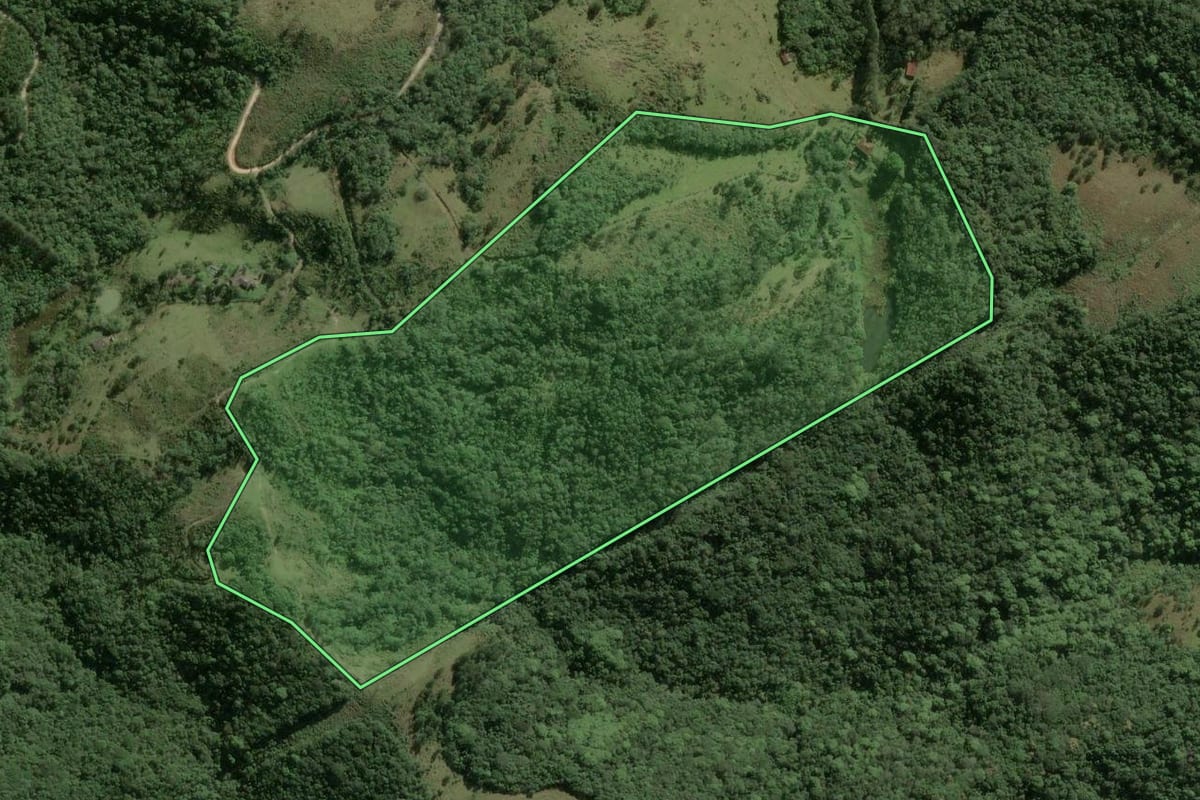 Imagem de satélite do imóvel rural em Ibiúna (SP), com o contorno declarado no CAR desenhado por cima.