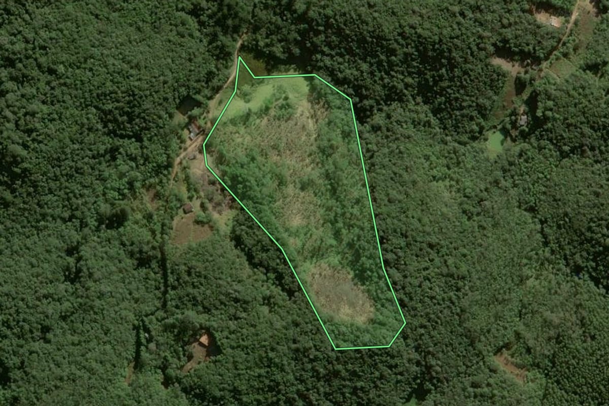 Imagem de satélite do imóvel rural em Ibiúna (SP), com o contorno declarado no CAR desenhado por cima.