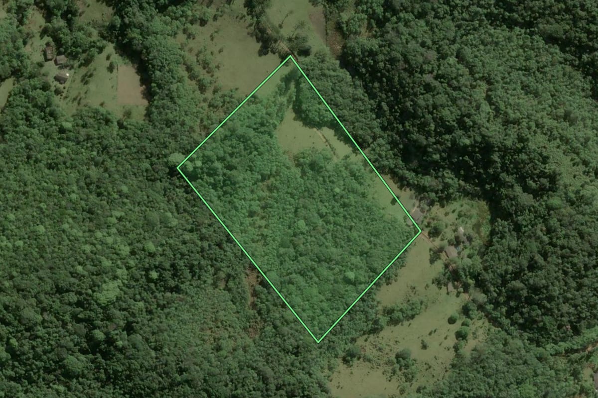 Imagem de satélite do imóvel rural em Ibiúna (SP), com o contorno declarado no CAR desenhado por cima.