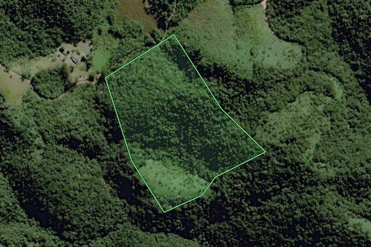 Imagem de satélite do imóvel rural em Ibiúna (SP), com o contorno declarado no CAR desenhado por cima.