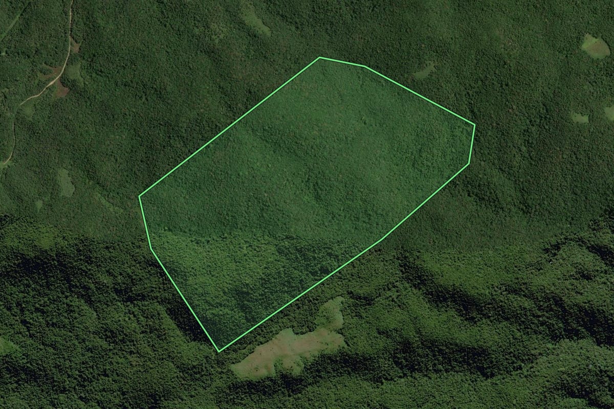 Imagem de satélite do imóvel rural em Ibiúna (SP), com o contorno declarado no CAR desenhado por cima.