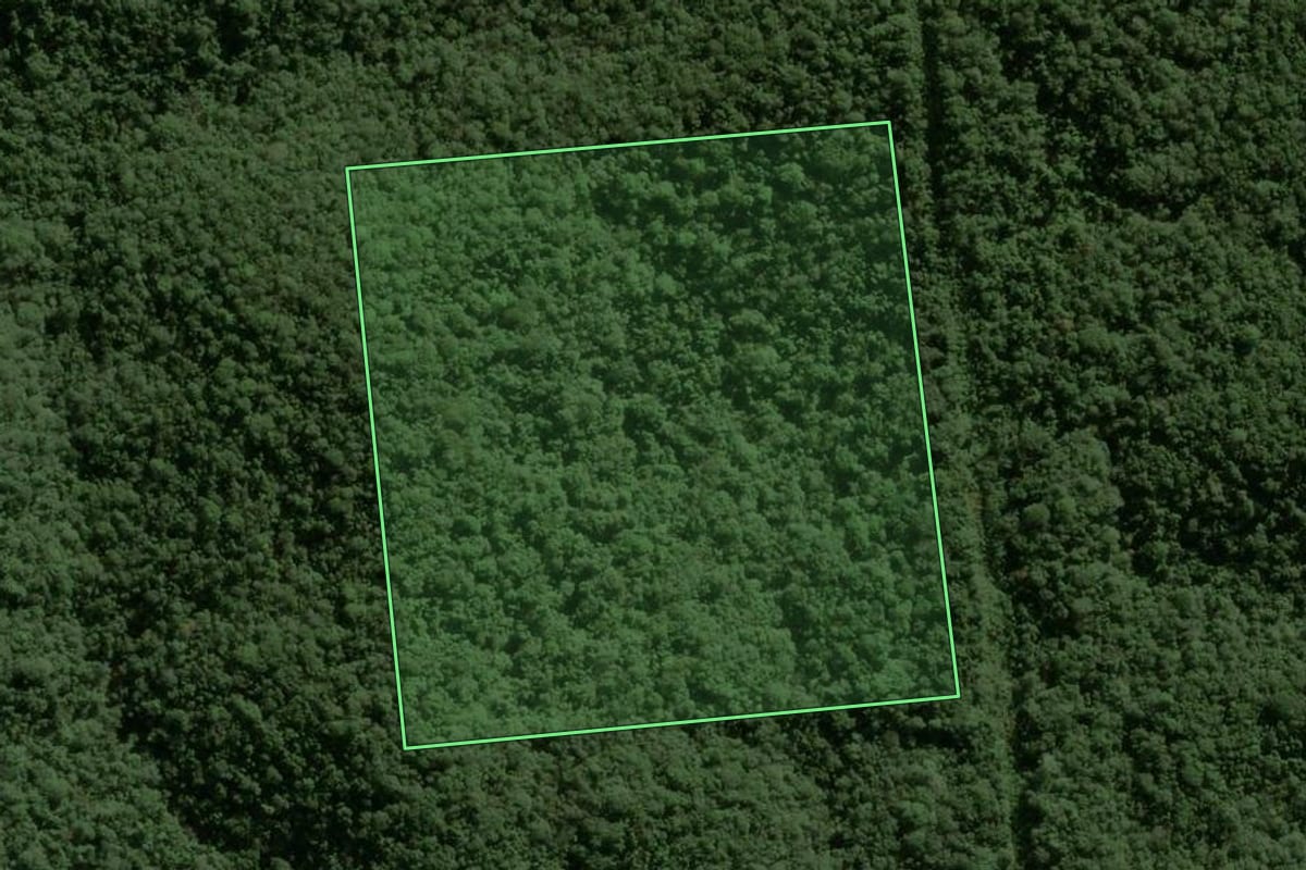 Imagem de satélite do imóvel rural em Ibiúna (SP), com o contorno declarado no CAR desenhado por cima.