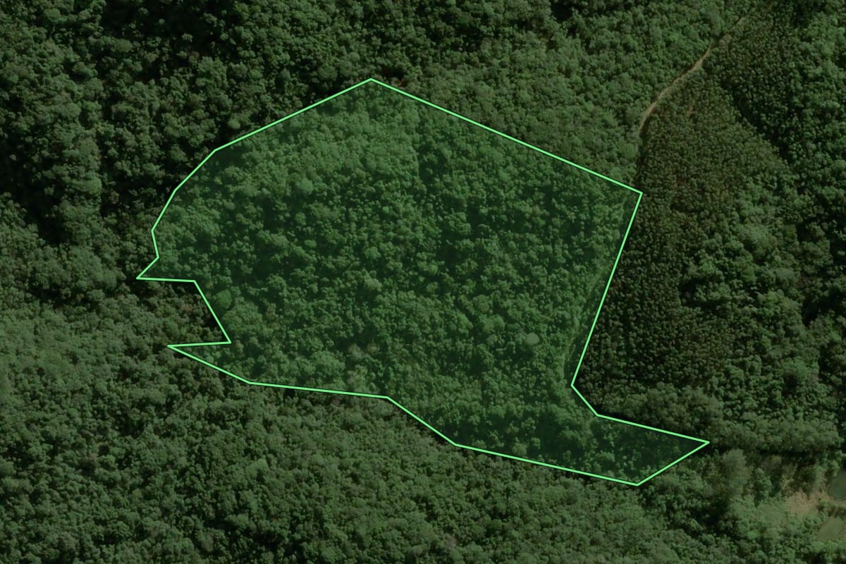 Imagem de satélite do imóvel rural em Ibiúna (SP), com o contorno declarado no CAR desenhado por cima.