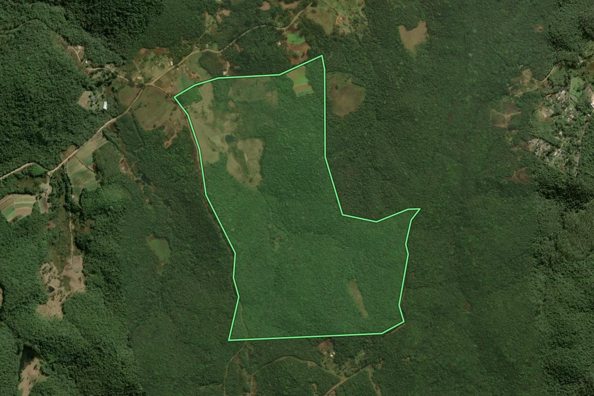 Imagem de satélite do imóvel rural em Ibiúna (SP), com o contorno declarado no CAR desenhado por cima.