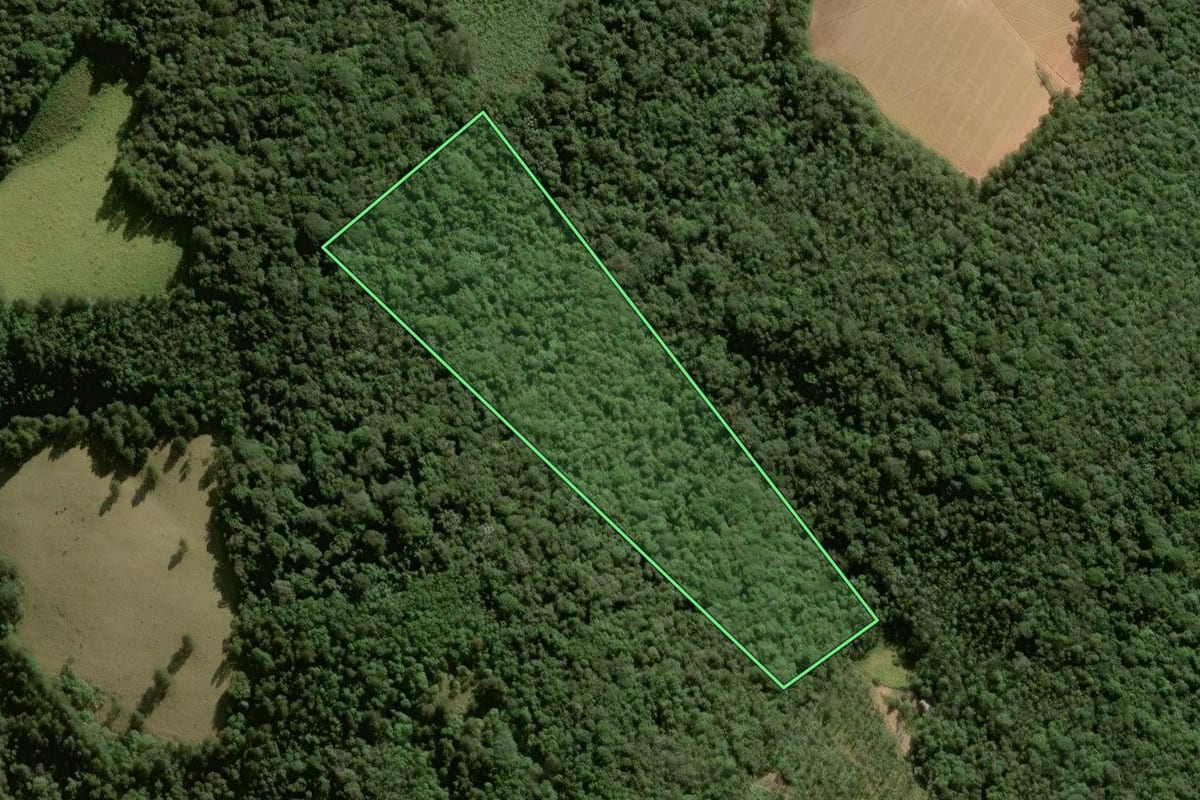 Imagem de satélite do imóvel rural em Ibiúna (SP), com o contorno declarado no CAR desenhado por cima.