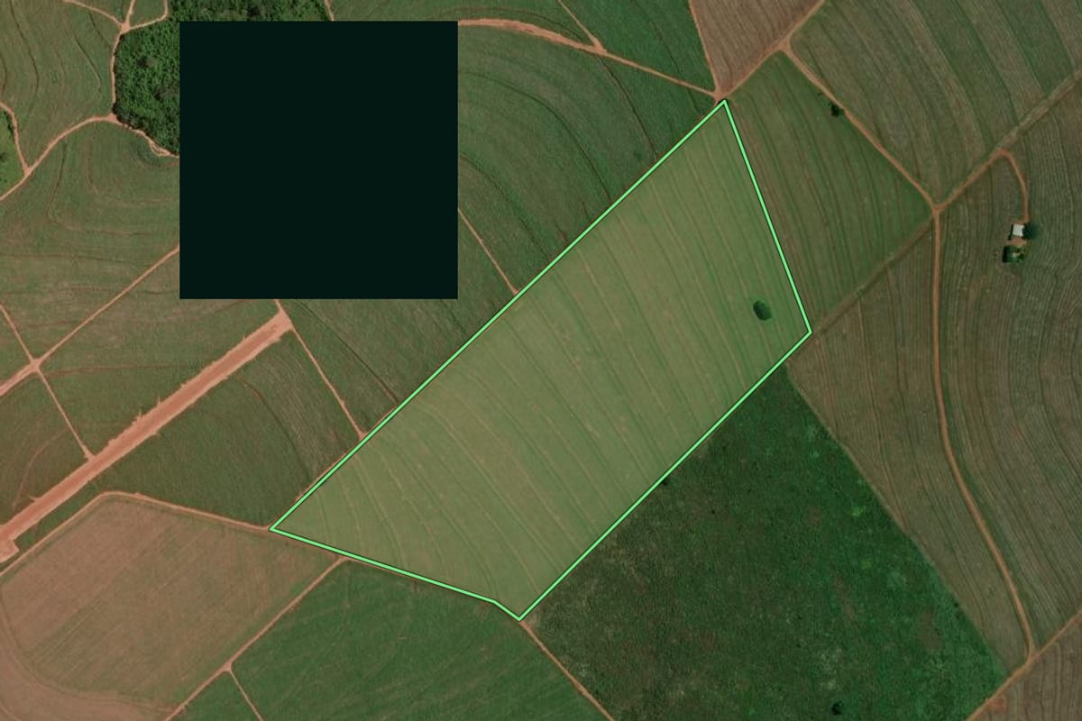 Imagem de satélite do imóvel rural em Iepê (SP), com o contorno declarado no CAR desenhado por cima.