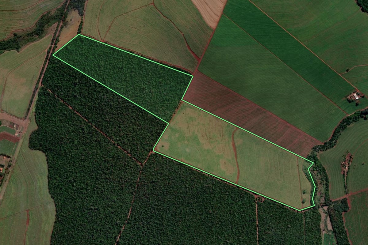 Imagem de satélite do imóvel rural em Iepê (SP), com o contorno declarado no CAR desenhado por cima.