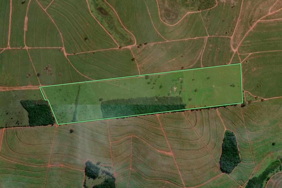 Imagem de satélite do imóvel rural em Iepê (SP), com o contorno declarado no CAR desenhado por cima.