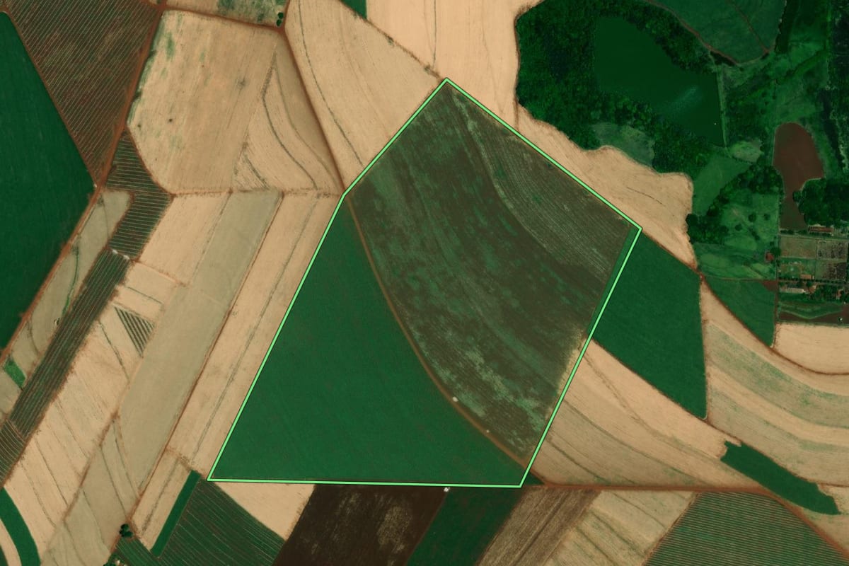 Imagem de satélite do imóvel rural em Igaraçu do Tietê (SP), com o contorno declarado no CAR desenhado por cima.