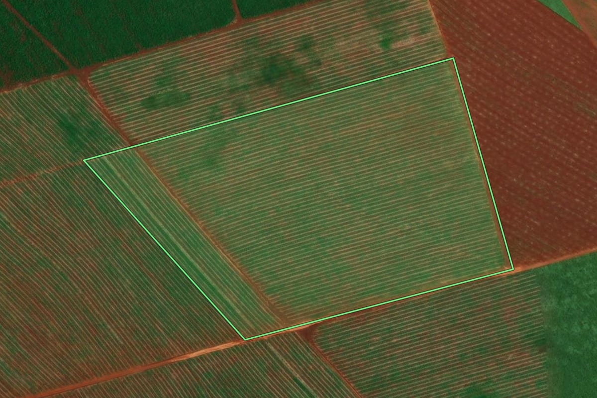 Imagem de satélite do imóvel rural em Igaraçu do Tietê (SP), com o contorno declarado no CAR desenhado por cima.
