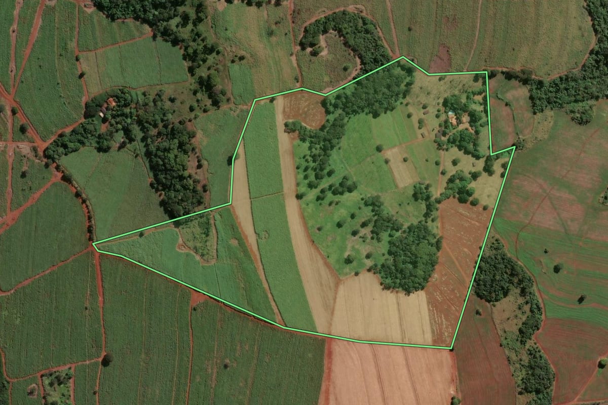 Imagem de satélite do imóvel rural em Igarapava (SP), com o contorno declarado no CAR desenhado por cima.