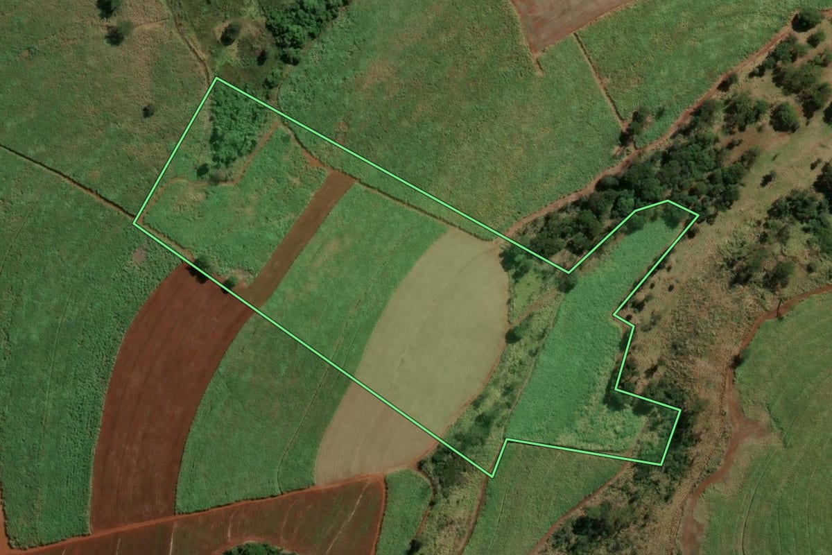 Imagem de satélite do imóvel rural em Igarapava (SP), com o contorno declarado no CAR desenhado por cima.