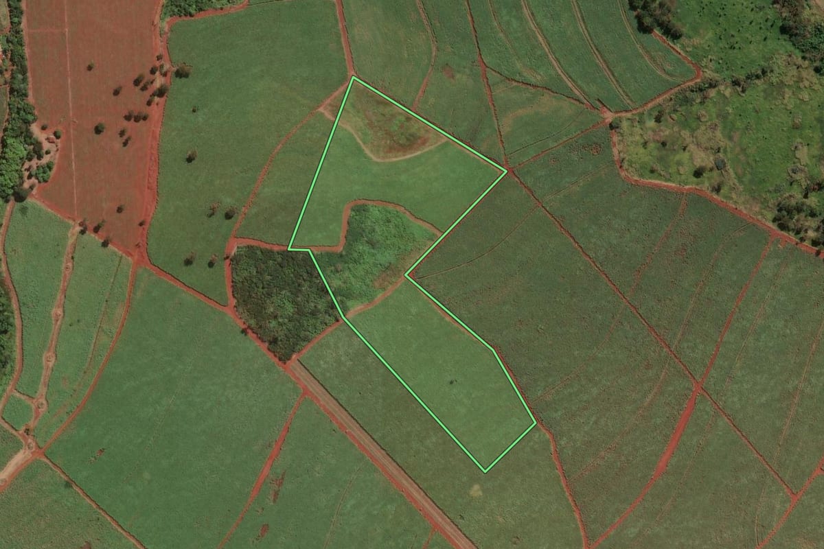 Imagem de satélite do imóvel rural em Igarapava (SP), com o contorno declarado no CAR desenhado por cima.