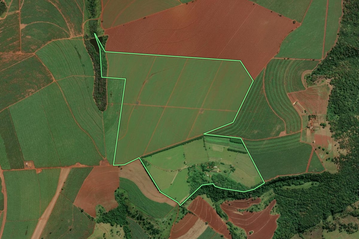 Imagem de satélite do imóvel rural em Igarapava (SP), com o contorno declarado no CAR desenhado por cima.